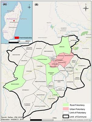 Perception of Drug Vendors and Pig and Poultry Farmers of Imerintsiatosika, in Madagascar, Toward Risks Related to Antibiotic Usage: A Q-Method Approach